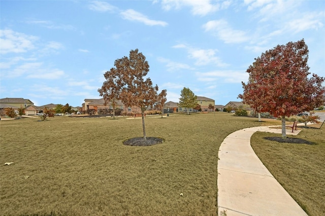 734 Pepperbark Loop, Buda, TX 78610 - photo 32