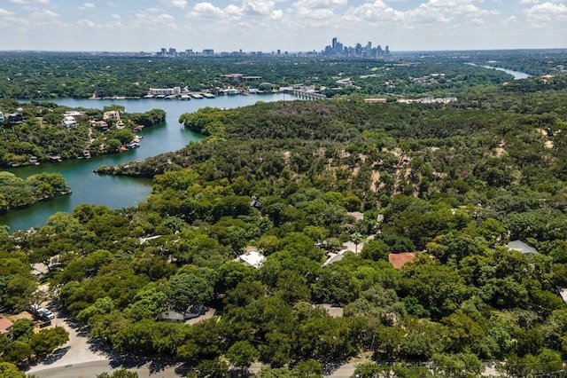 1603 Westlake Dr, West Lake Hills, TX 78746 - photo 35