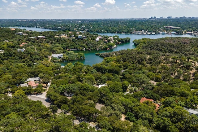 1603 Westlake Dr, West Lake Hills, TX 78746 - photo 37
