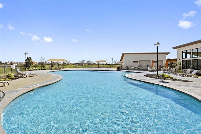 137 Yearling Way, Georgetown, TX 78626 - photo 7