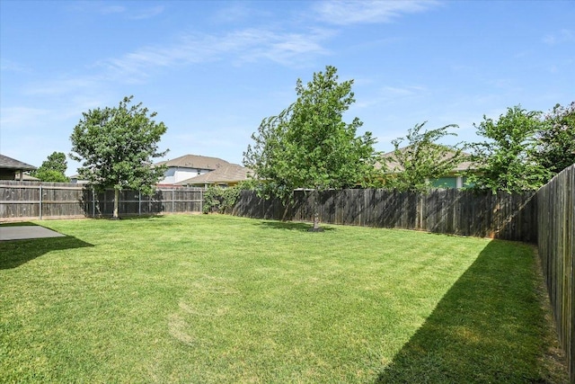 917 Ranchero Rd, Leander, TX 78641 - photo 30