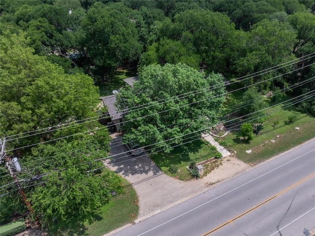 5007 Rollingwood Dr, Rollingwood, TX 78746 - photo 6