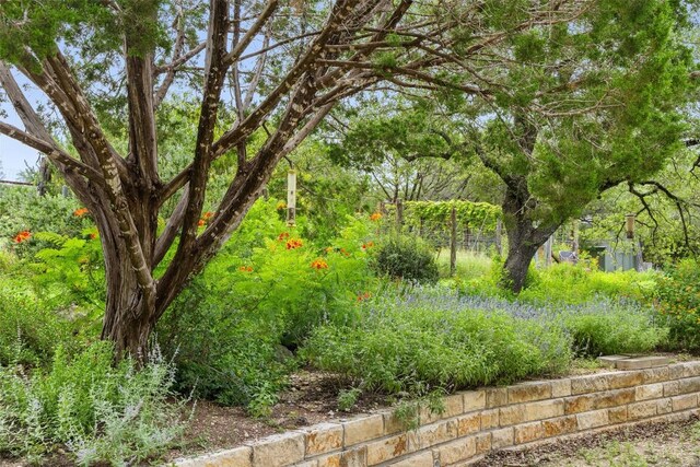 5834 Fall Creek Rd, Spicewood, TX 78669 - photo 26