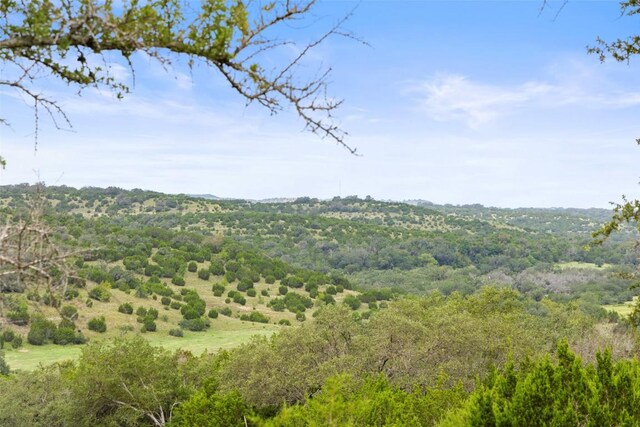 5834 Fall Creek Rd, Spicewood, TX 78669 - photo 40