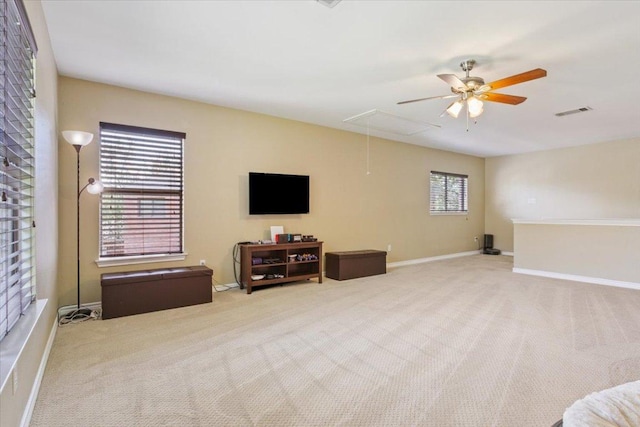 2005 Jasper Ln, Cedar Park, TX 78613 - photo 18