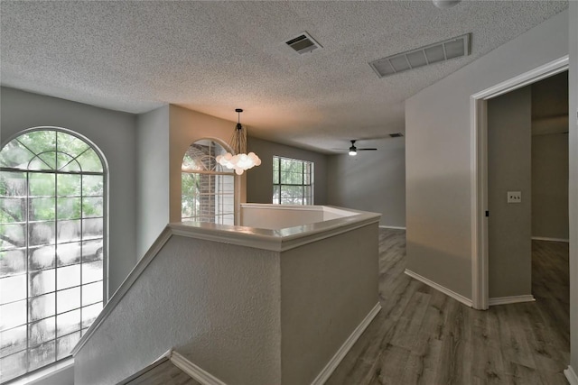 16812 Gower St, Pflugerville, TX 78660 - photo 12