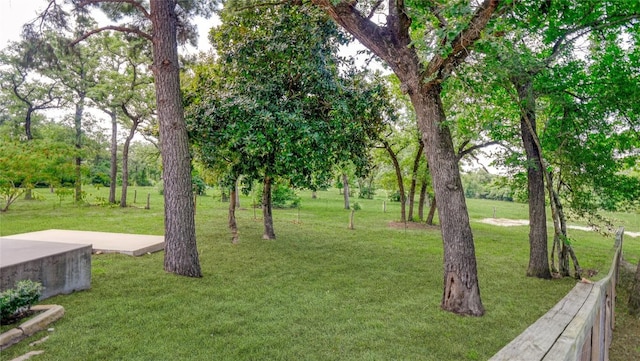 2933 County Road 332nd Rd, Caldwell, TX 77836 - photo 5