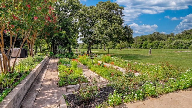 2933 County Road 332nd Rd, Caldwell, TX 77836 - photo 8