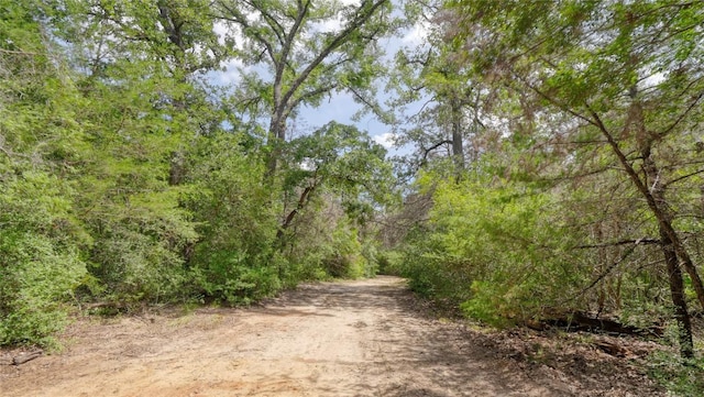 2933 County Road 332nd Rd, Caldwell, TX 77836 - photo 9