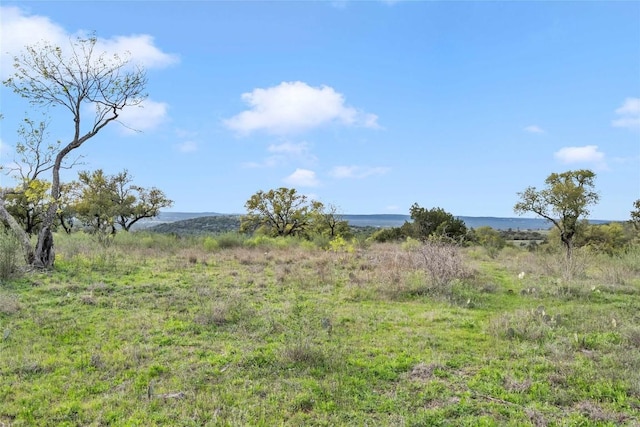 31 High Range Dr, Kingsland, TX 78639 - photo 6