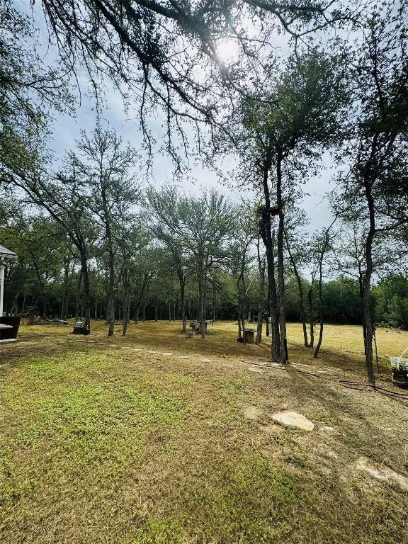 146 Crooked Hollow Rd, Elgin, TX 78621 - photo 2