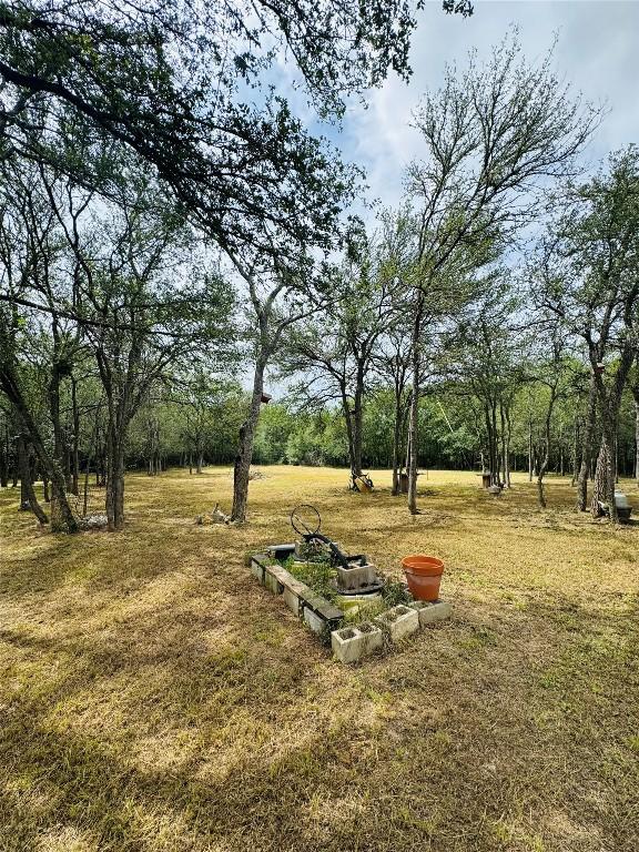 146 Crooked Hollow Rd, Elgin, TX 78621 - photo 11