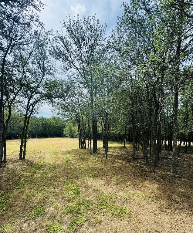 146 Crooked Hollow Rd, Elgin, TX 78621 - photo 12