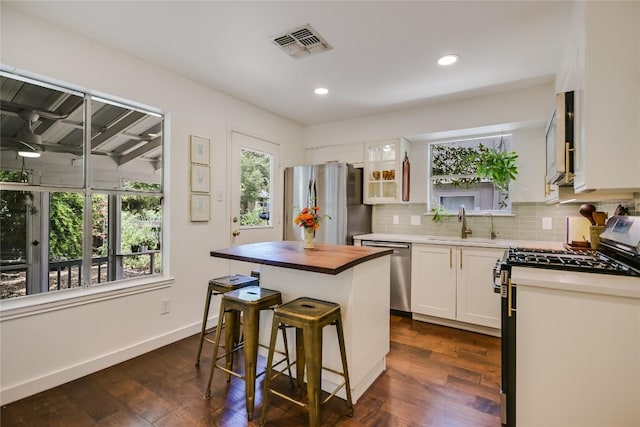 8806 Ampezo Trl, Austin, TX 78749 - photo 8