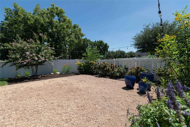 1701 Hill Country Dr, Cedar Park, TX 78613 - photo 31