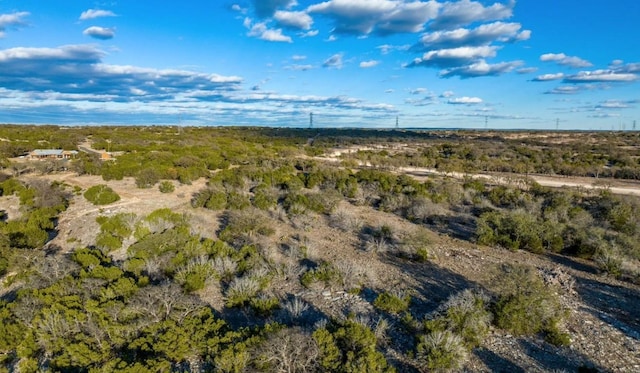 LOT91 Spring Xing, Junction, TX 76849 - photo 1