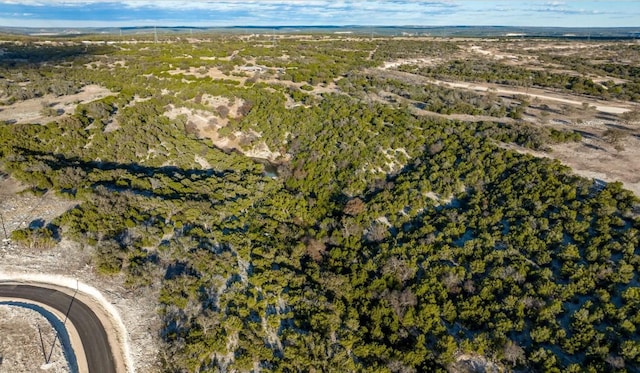LOT91 Spring Xing, Junction, TX 76849 - photo 2