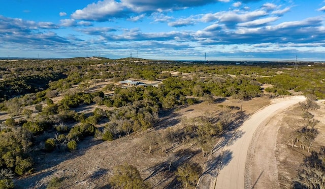LOT91 Spring Xing, Junction, TX 76849 - photo 3