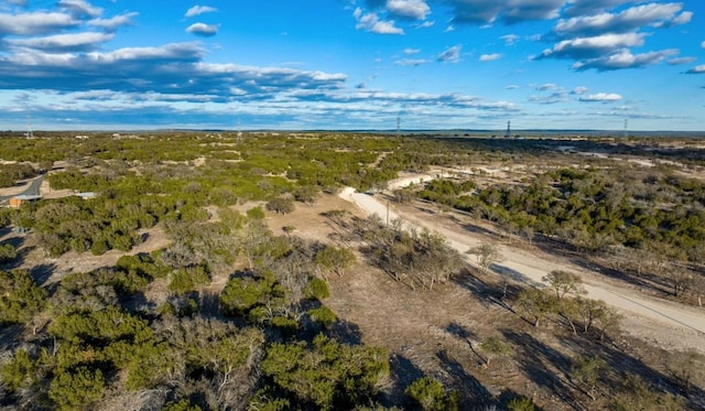 LOT91 Spring Xing, Junction, TX 76849 - photo 4
