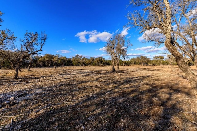 LOT91 Spring Xing, Junction, TX 76849 - photo 5