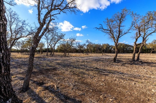 LOT91 Spring Xing, Junction, TX 76849 - photo 6
