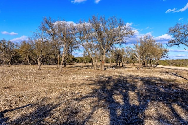 LOT91 Spring Xing, Junction, TX 76849 - photo 7