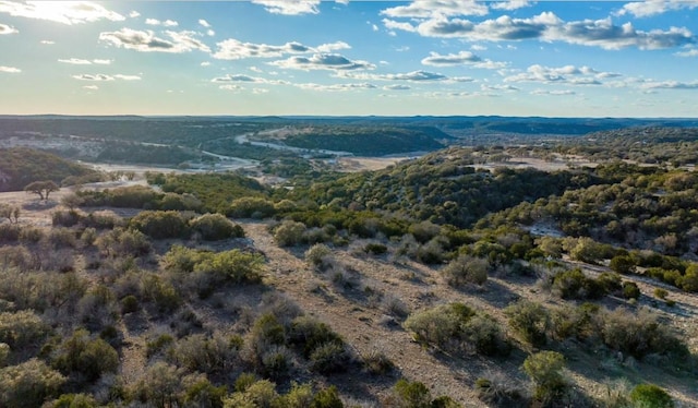 LOT91 Spring Xing, Junction, TX 76849 - photo 8
