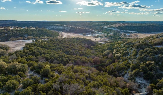 LOT91 Spring Xing, Junction, TX 76849 - photo 9