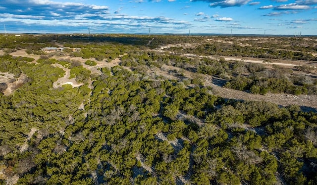 LOT91 Spring Xing, Junction, TX 76849 - photo 10