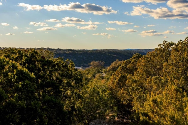 LOT91 Spring Xing, Junction, TX 76849 - photo 19