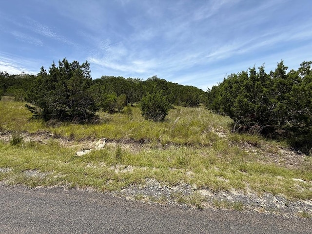 LOT249 Woodhollow Dr, Bertram, TX 78681 - photo 7