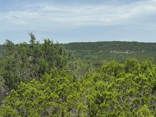 LOT249 Woodhollow Dr, Bertram, TX 78681 - photo 15