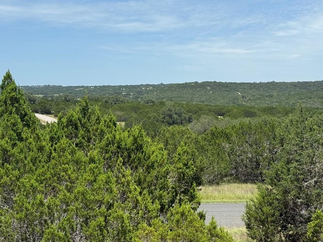 LOT249 Woodhollow Dr, Bertram, TX 78681 - photo 3