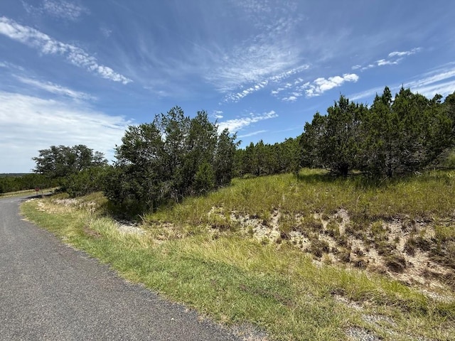 LOT249 Woodhollow Dr, Bertram, TX 78681 - photo 16