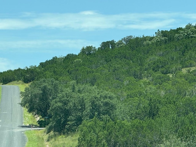 LOT249 Woodhollow Dr, Bertram, TX 78681 - photo 18