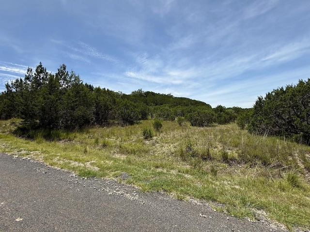LOT249 Woodhollow Dr, Bertram, TX 78681 - photo 10