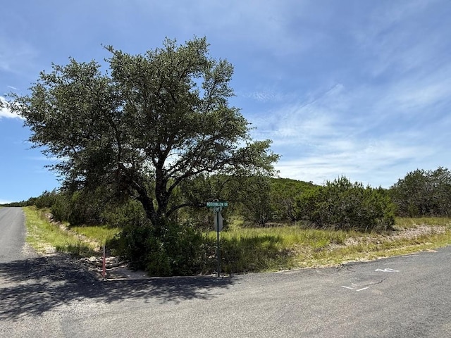 LOT249 Woodhollow Dr, Bertram, TX 78681 - photo 2