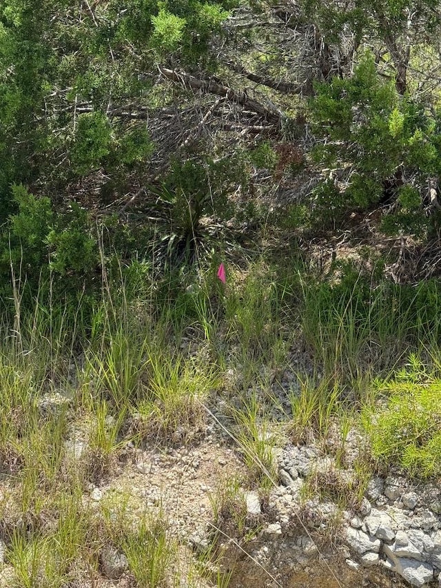 LOT249 Woodhollow Dr, Bertram, TX 78681 - photo 8
