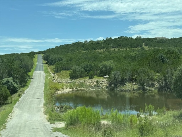 LOT249 Woodhollow Dr, Bertram, TX 78681 - photo 12
