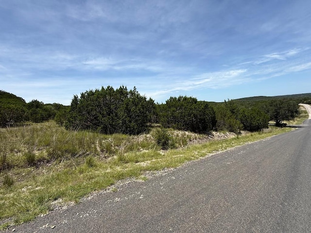 LOT249 Woodhollow Dr, Bertram, TX 78681 - photo 9