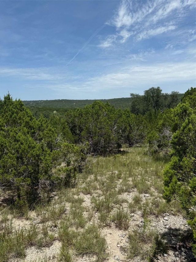 LOT249 Woodhollow Dr, Bertram, TX 78681 - photo 11