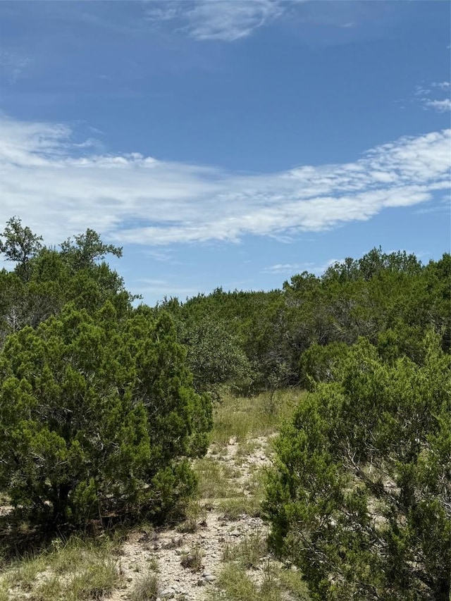 LOT249 Woodhollow Dr, Bertram, TX 78681 - photo 13