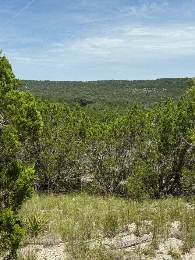 LOT249 Woodhollow Dr, Bertram, TX 78681 - photo 5