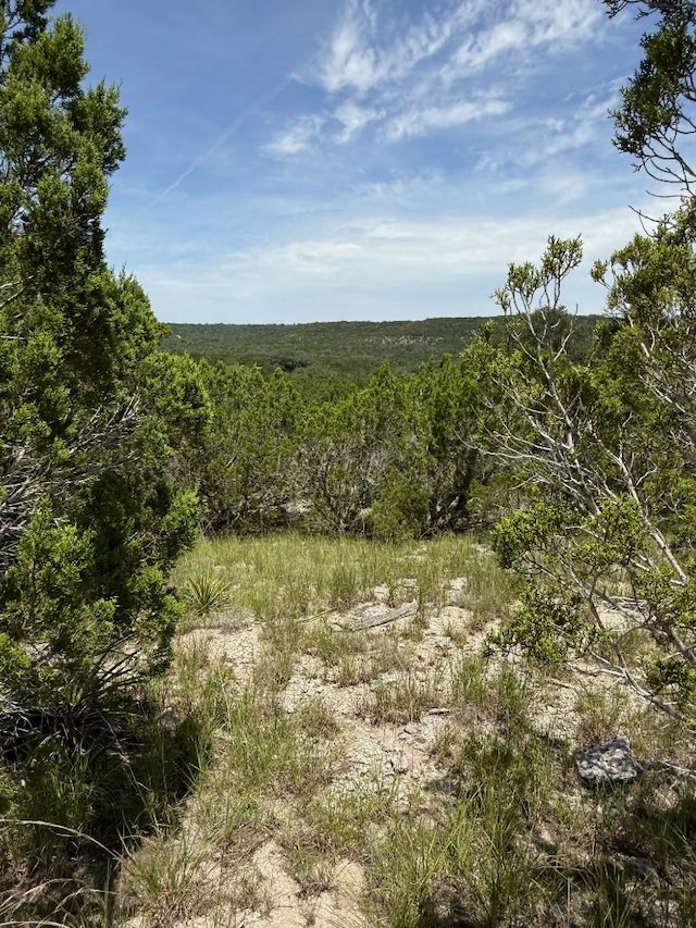 LOT249 Woodhollow Dr, Bertram, TX 78681 - photo 14