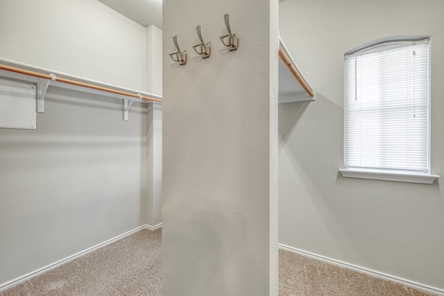 16920 John Michael Dr, Manor, TX 78653 - photo 24