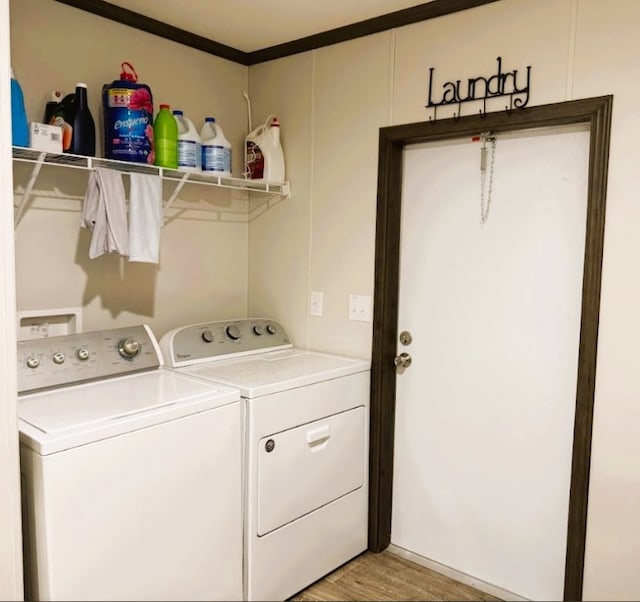 114 Pineapple Sage Cv, Dale, TX 78616 - photo 32