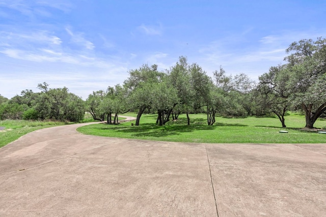 504 Roy Creek Ln, Dripping Springs, TX 78620 - photo 4