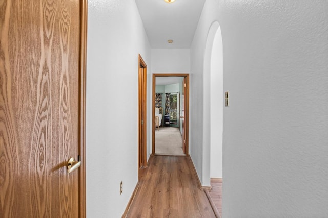 504 Roy Creek Ln, Dripping Springs, TX 78620 - photo 25