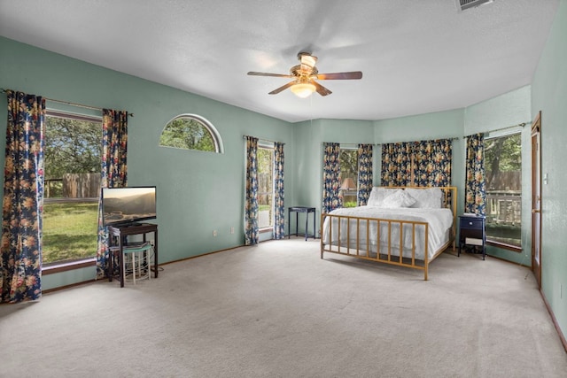 504 Roy Creek Ln, Dripping Springs, TX 78620 - photo 26