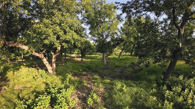 0 Loudon Rd, Fredericksburg, TX 78624 - photo 4